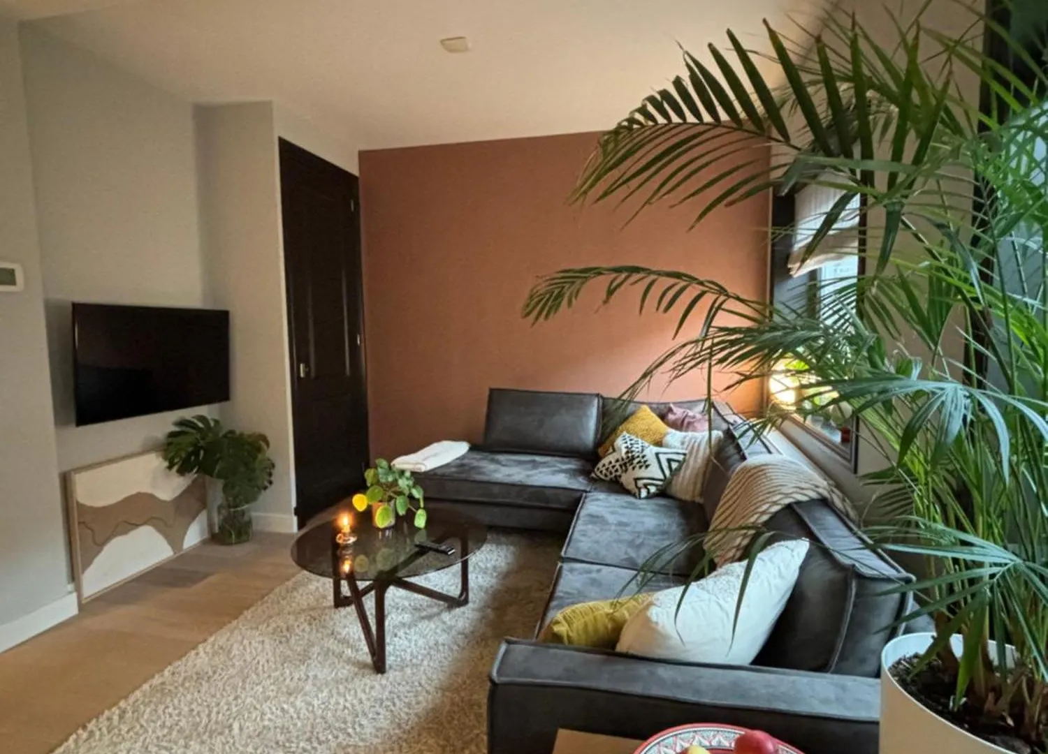 Appartement Amsterdam Zuid Apartment